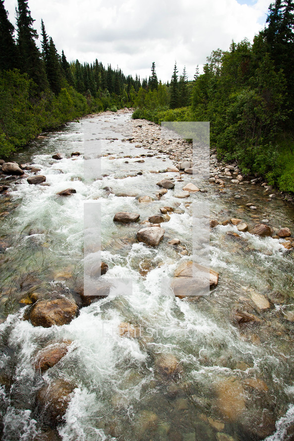 rushing water through a stream