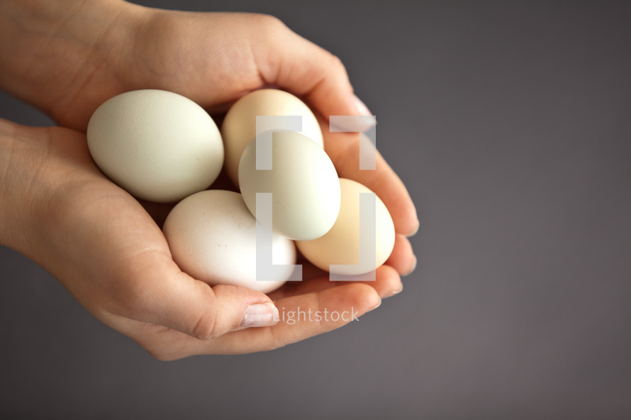hand full of eggs