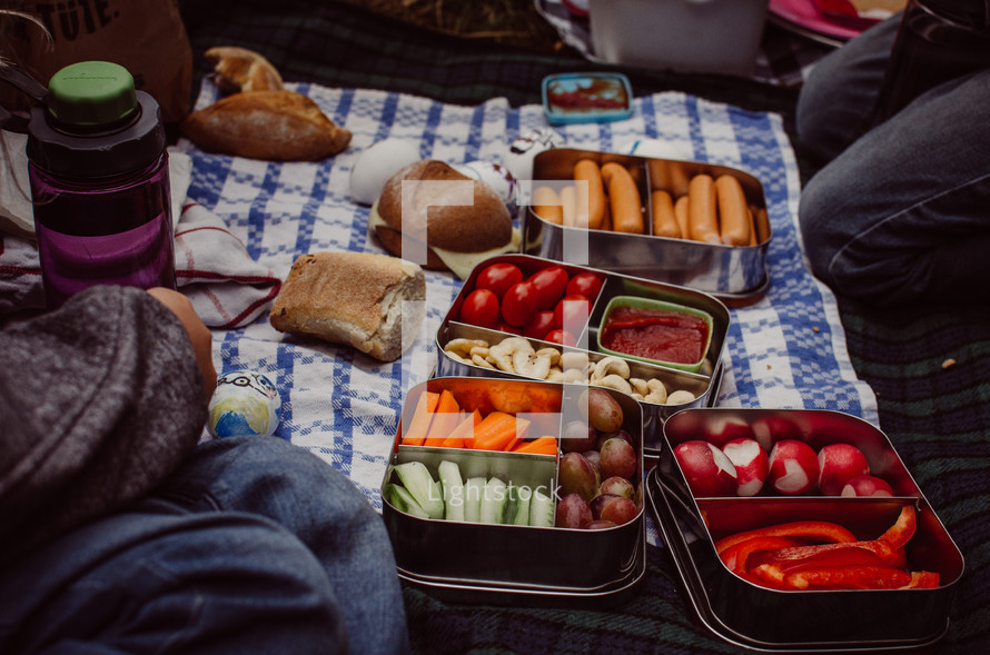 a picnic blanket laid out with various snacks