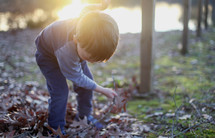 boy child playing in leaves 