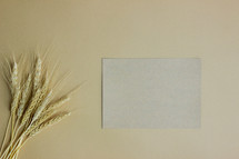 wheat and blank paper 