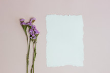 purple flowers and blank paper 