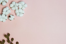 cotton and pink background 