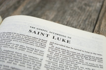 Saint Luke 