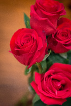 red roses 