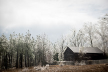 cabin in the woods and winter trees 