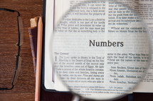 magnifying glass over Numbers