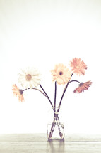 gerber daisies in a vase