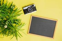 blank chalkboard, camera, and green leaves 