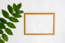green leaves and blank frame 