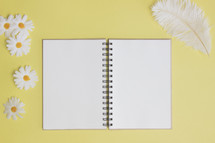 yellow background, daisies, journal, and feather 