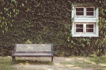 a bench and window on ivy wall 