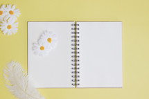 daisies on blank pages of a journal 