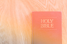 Holy Bible 
