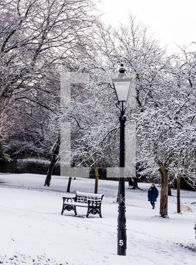 street lamp in a park in the snow 