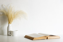 vase of brown fuzzy grasses and open Bible 