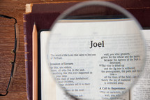 magnifying glass over Joel