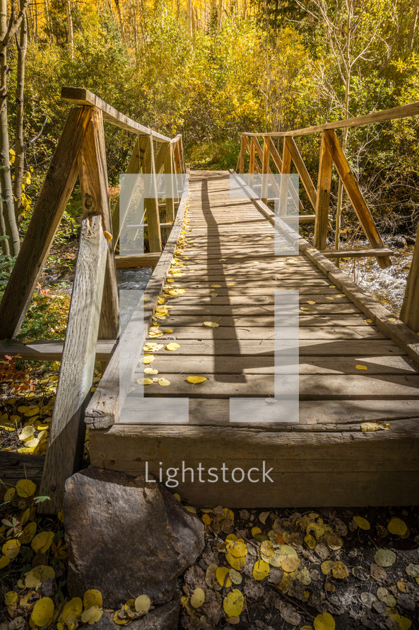 wooden foot bridge in fall 