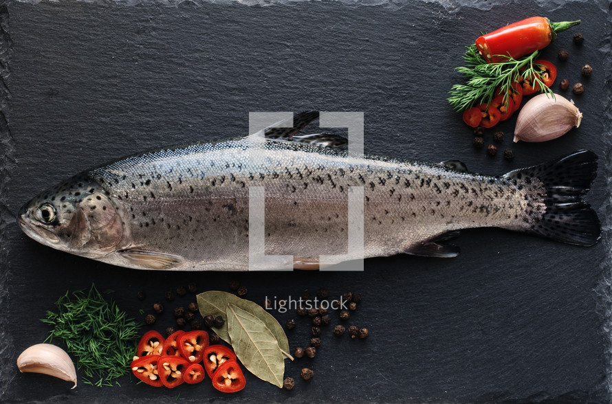 fresh trout on gray slate 