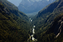 evergreen forest and river 