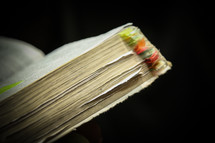 bookmarks and tabs in the pages of a Bible 