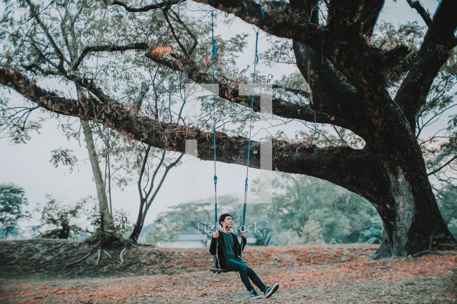 a man on a swing hanging from a tree 