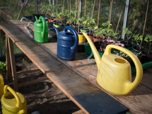 colored watering cans in a green house garden