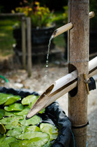 water drips from some bamboo into a pond with lillies