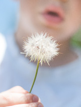 Boy about to blow a dandelion seed head