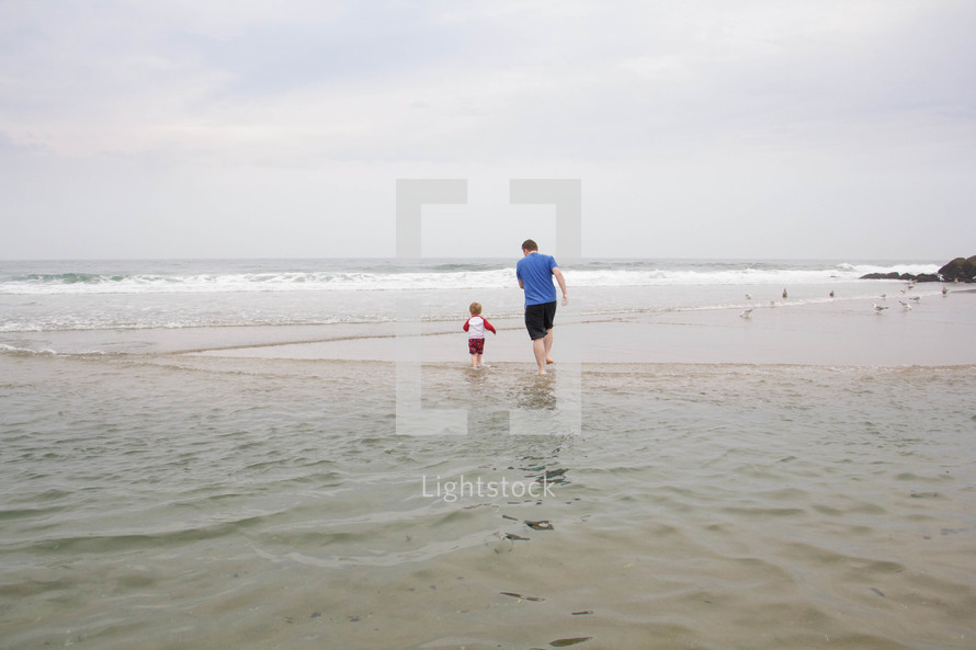 father and toddler son walking in water at the beach 