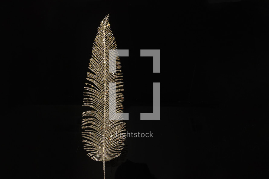 gold feather on a black background 