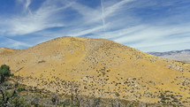 barren mountain 