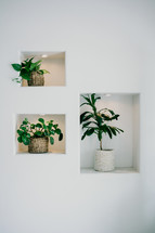 potted plants in wall cutouts 