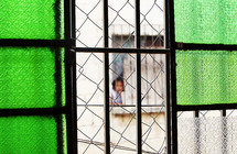 Window with fence in front