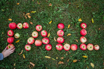 word fall in apples in the grass 