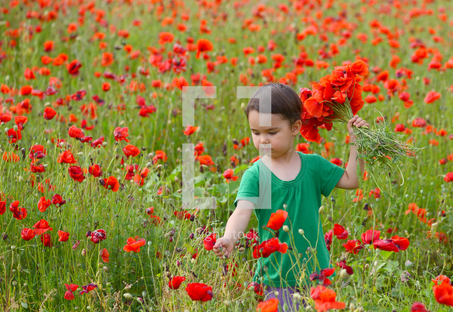 Cute child girl in poppy field. very happy child girl in poppy field. Girl in poppies