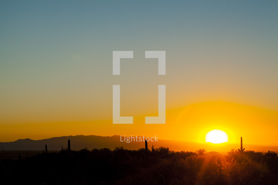 sun setting in a desert 