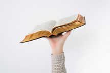 Hand lifting an open Bible.