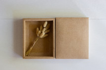 fuzzy grasses in a wooden box 