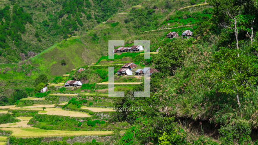 homes on a terraced slope 