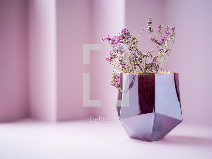 pink flowers in a pink vase 