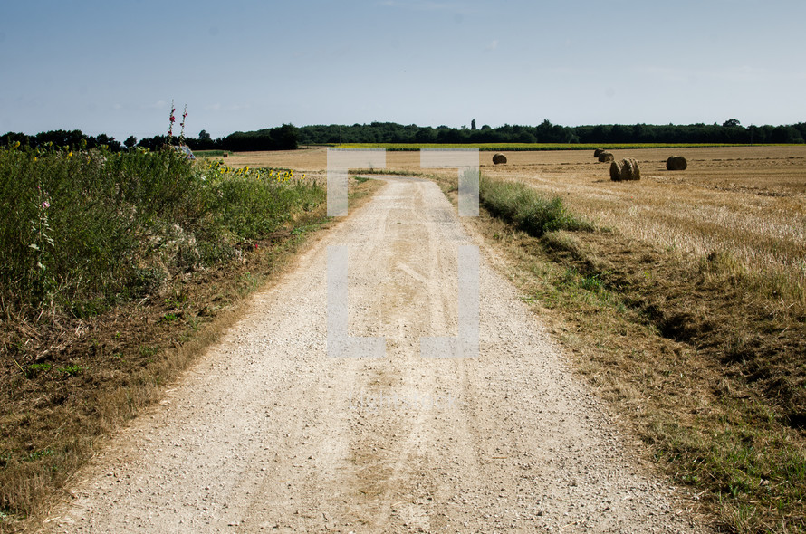 a rural dirt road through a harvested field with hay bales 