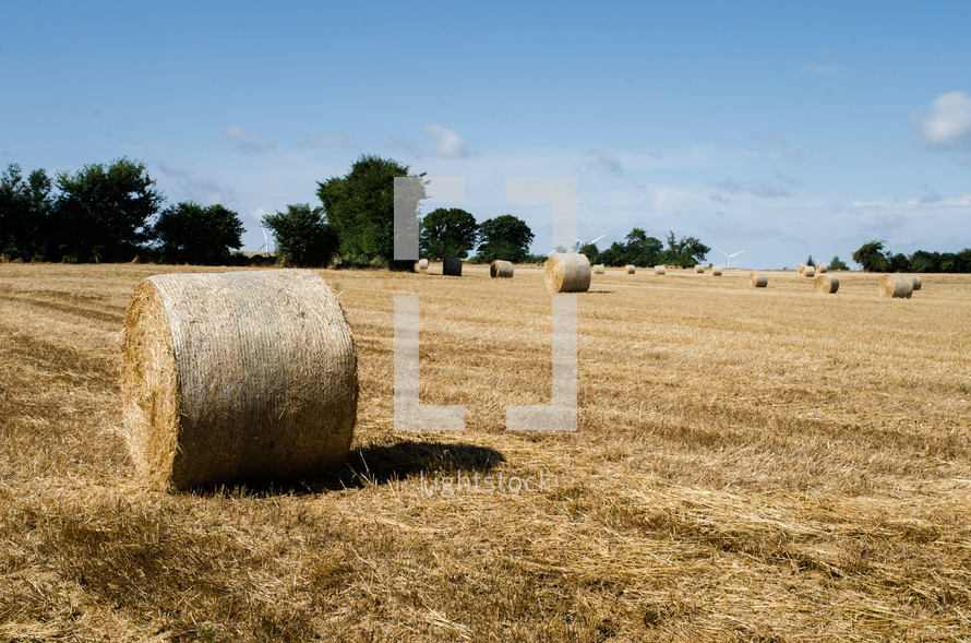 a field with hay bales