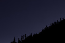 silhouette of trees on a mountainside at night 