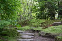 stepping stones on a path 
