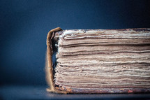 Closeup of the spine of an old book on a blue background