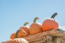 Pumpkins on a table with bright blue sky behind