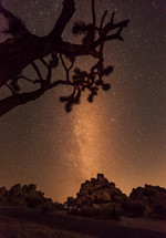 stars in the night sky above a desert landscape 