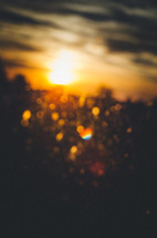 blurry sunset 