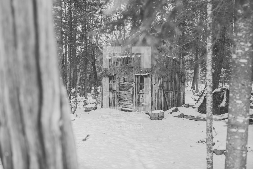 cabin in the woods in the snow 